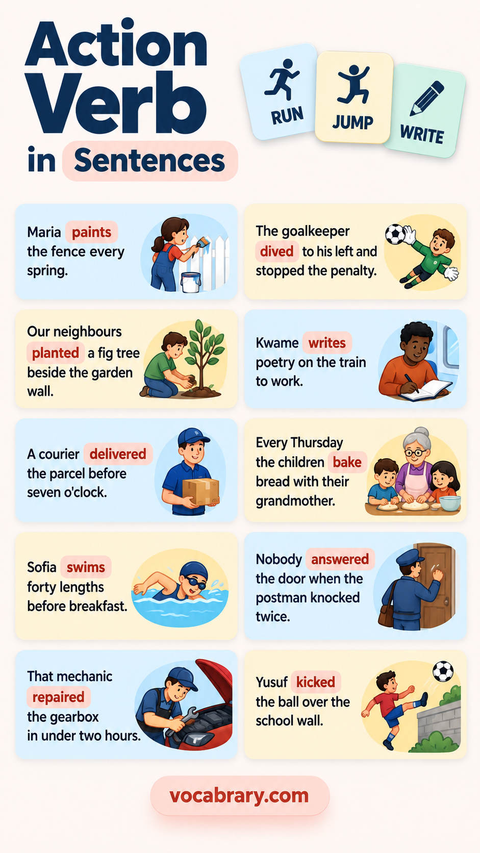 action verb example sentences featuring action verb forms such as paints, dived, planted