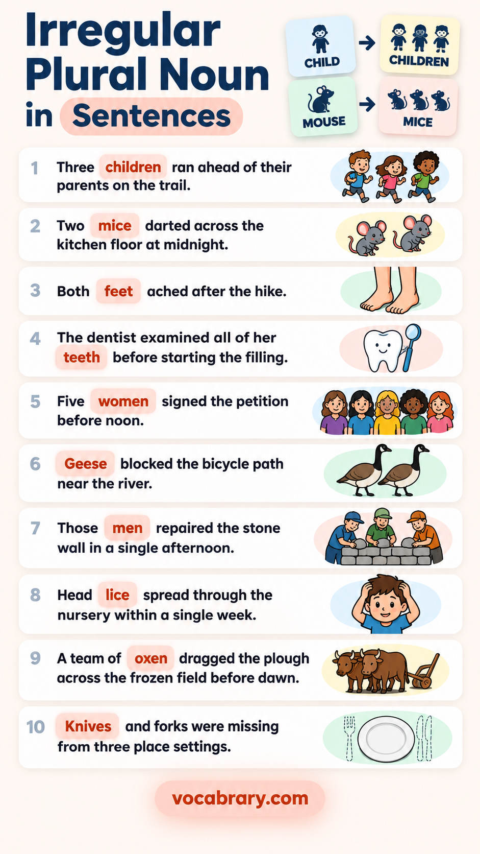 irregular plural noun example sentences showing how each irregular plural noun works with children, mice and more