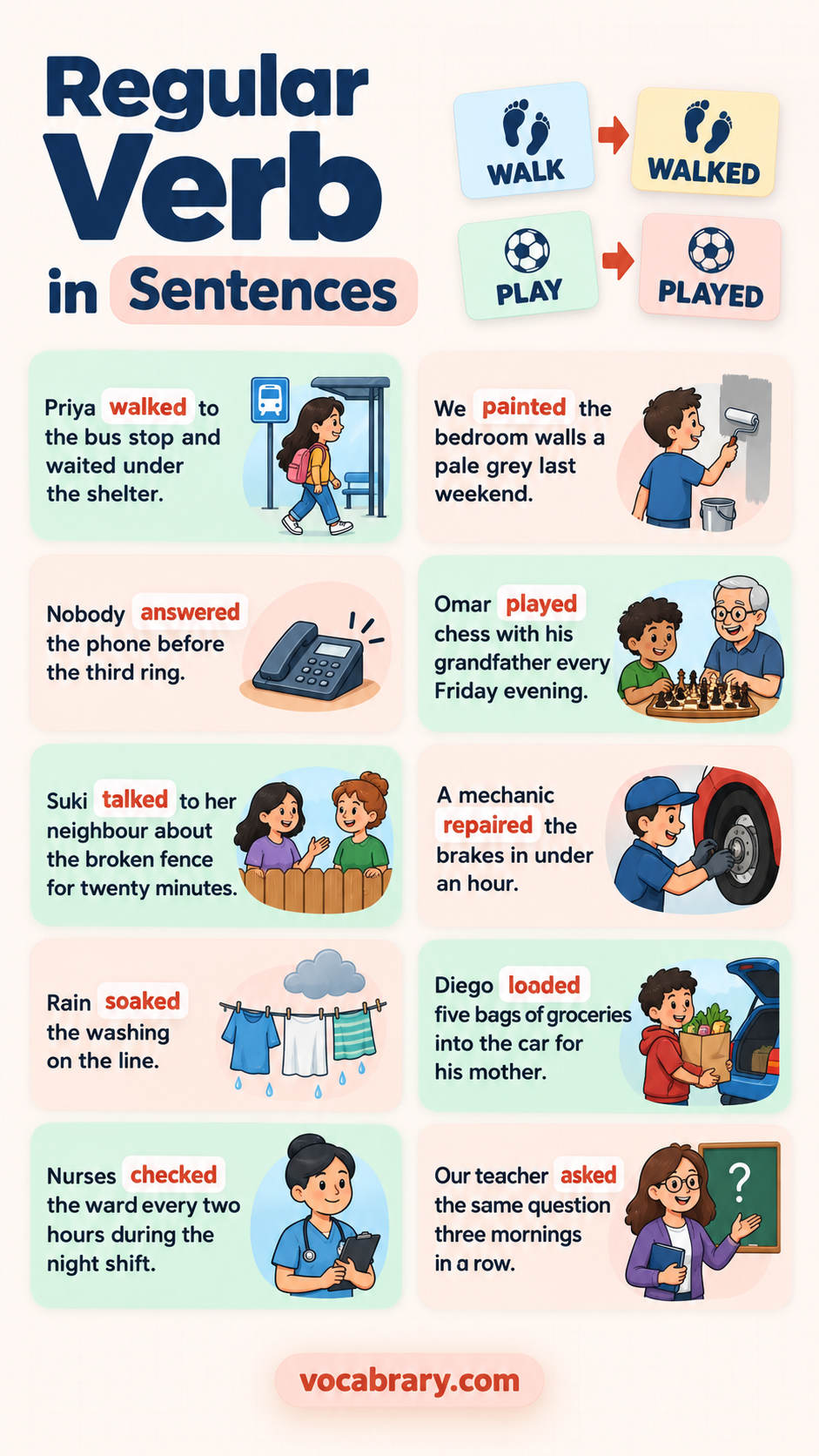 regular verb example sentences with regular verb usage in sentences using walked, painted and others