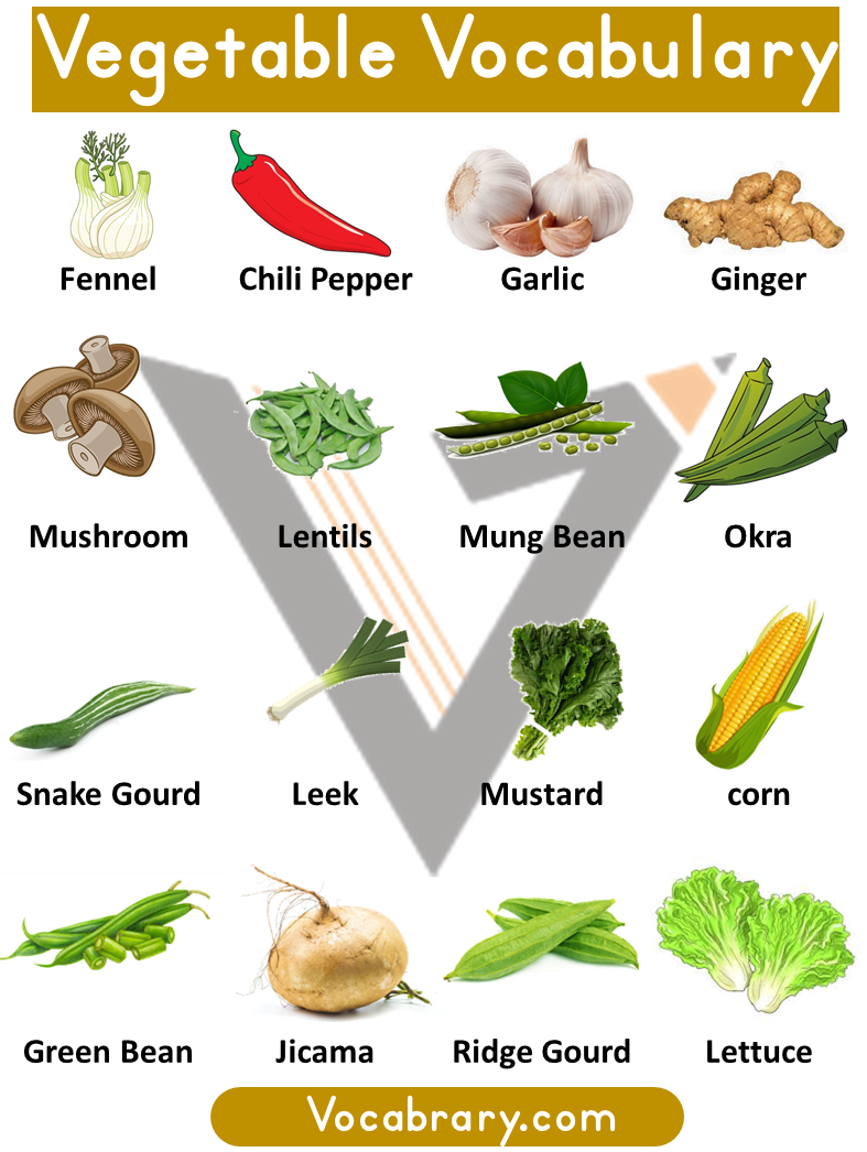 Vegetables Vocabulary List with Pictures and PDF Vocabrary