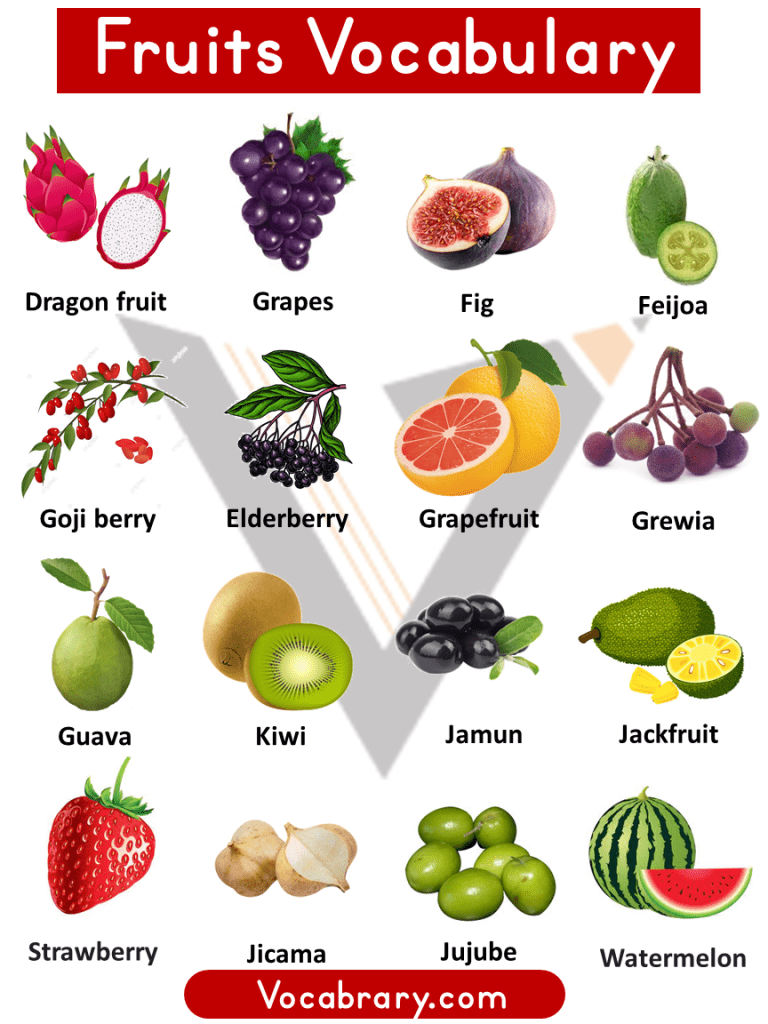 100+ Fruits Names with Pictures - Vocabrary