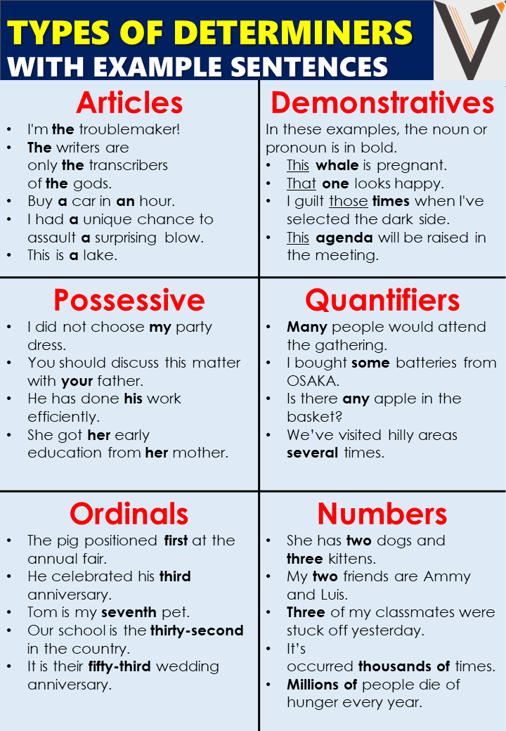 Determiner: Explanation and Types with Example Sentences