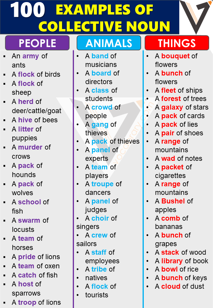 Collective Nouns: Explanation and Examples with Sentences