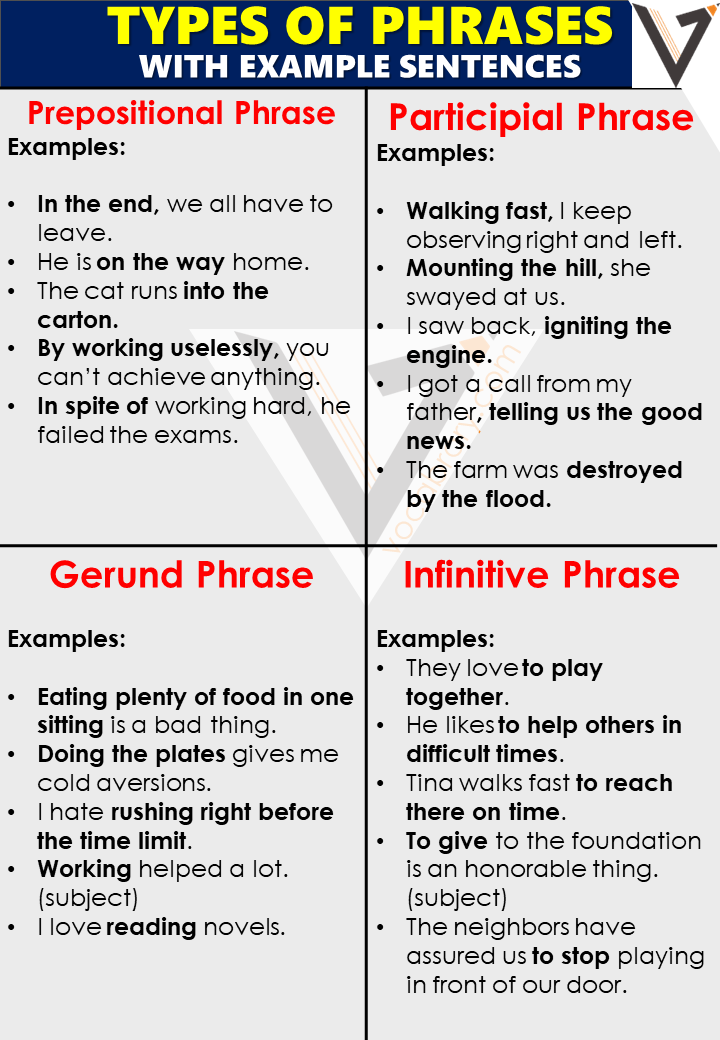 Types of Phrases: Definition and Types with Example Sentences