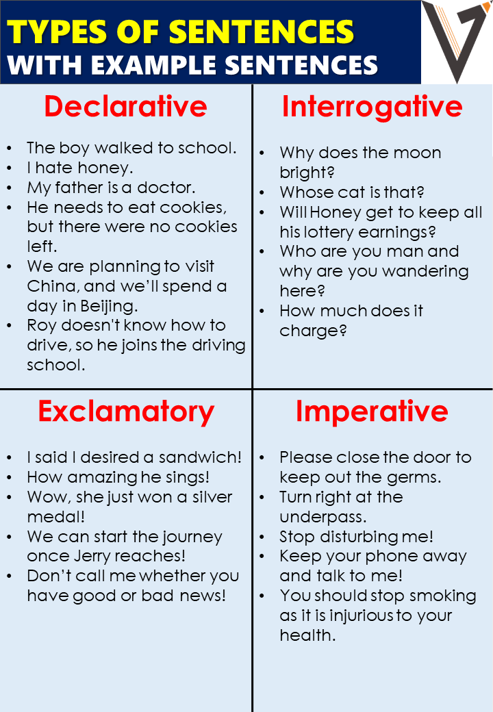 types of sentences in an essay